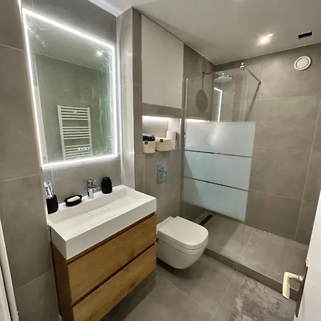 Charming Parisian In The 15th Arrondissement