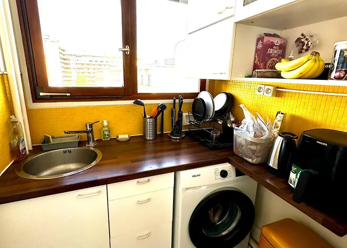 Charming Parisian In The 15th Arrondissement
